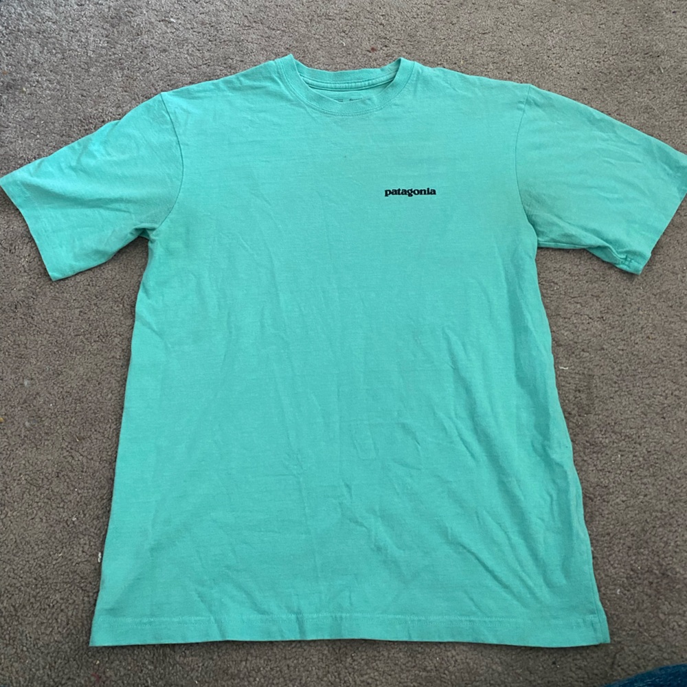 Patagonia Shirt